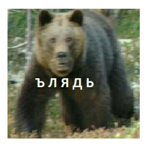 😬 Стикер «с кайфом» для Telegram
