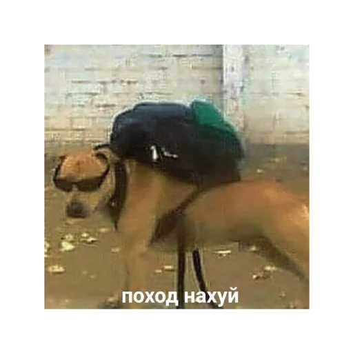🦸 Стикер «с кайфом» для Telegram