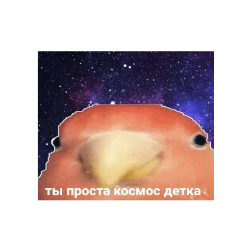 🌌 Стикер «с кайфом» для Telegram