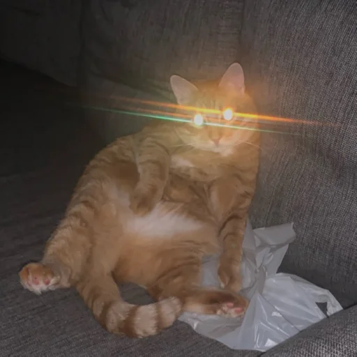 😾 Стикер «Брайн Мапс №2» для Telegram