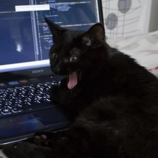 🖥 Стикер «Broken Cats» для Telegram