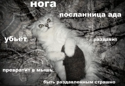 😢 Стикер «Broken Cats» для Telegram