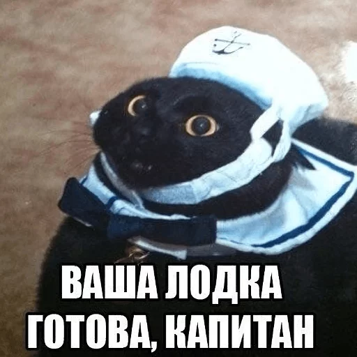 ⛵ Стикер «Broken Cats» для Telegram