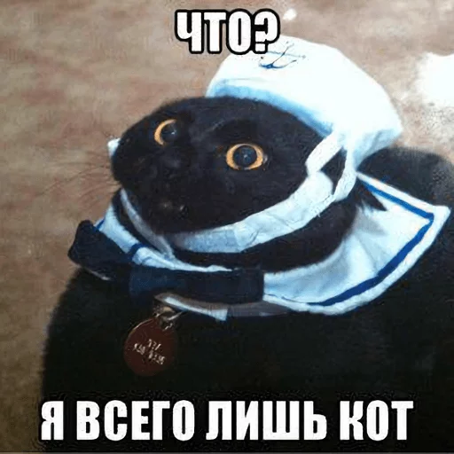 🛶 Стикер «Broken Cats» для Telegram