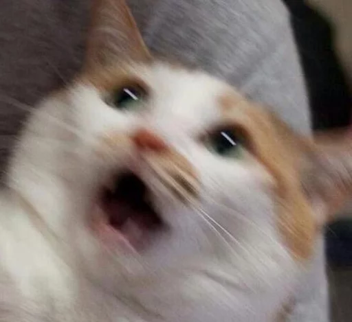 🙀 Стикер «Broken Cats» для Telegram