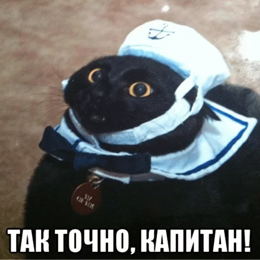 ⛵ Стикер «Broken Cats» для Telegram