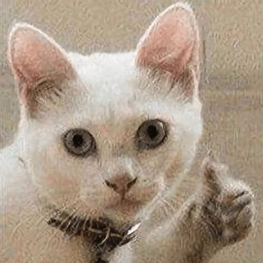 👍 Стикер «Broken Cats» для Telegram