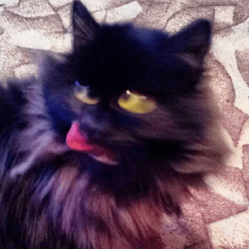 😝 Стикер «Broken Cats» для Telegram