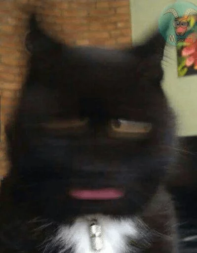 😾 Стикер «Broken Cats» для Telegram