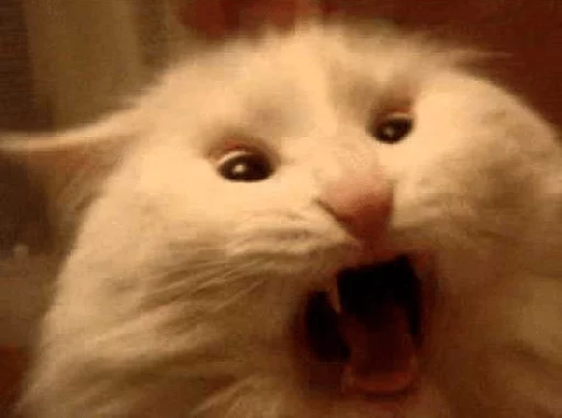 😡 Стикер «Broken Cats» для Telegram