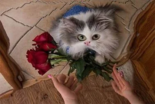 ❤️ Стикер «Кривые животные» для Telegram
