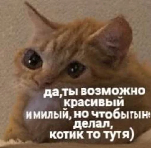 😎 Стикер «Кривые животные» для Telegram