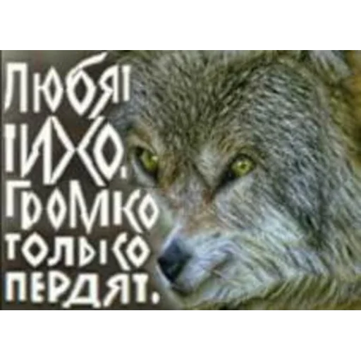😎 Стикер «Кривые животные» для Telegram