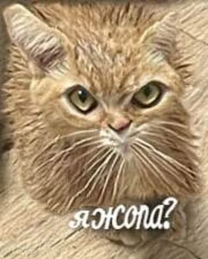 🤔 Стикер «Кривые животные» для Telegram