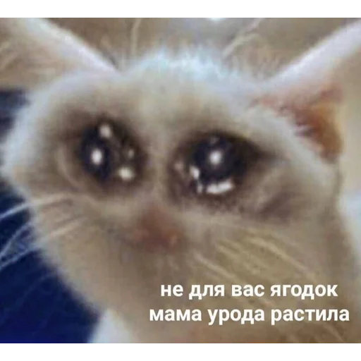 😥 Стикер «Кривые животные» для Telegram