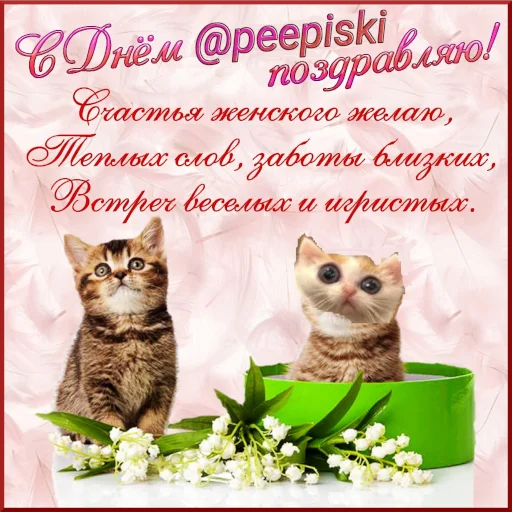 🥳 Стикер «Кривые животные» для Telegram