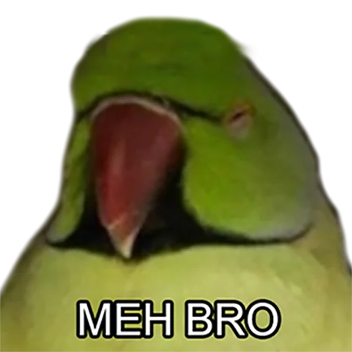 😑 Стикер «Bro Parrot» для Telegram