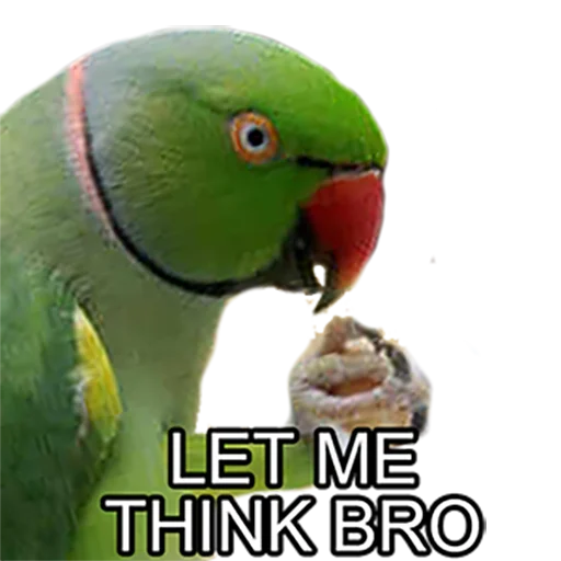 💭 Стикер «Bro Parrot» для Telegram