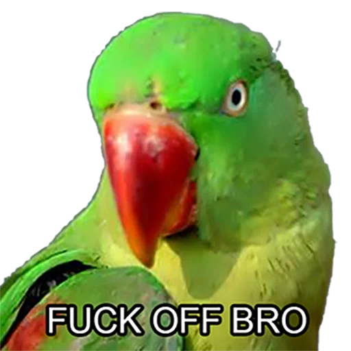 😤 Стикер «Bro Parrot» для Telegram