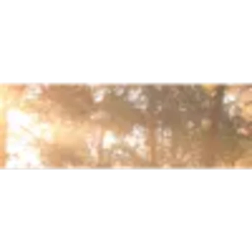 🤩 Эмодзи «Brown Collab» для Telegram