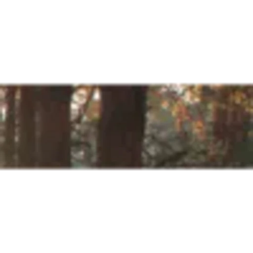 🤩 Эмодзи «Brown Collab» для Telegram