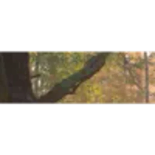 🤩 Эмодзи «Brown Collab» для Telegram