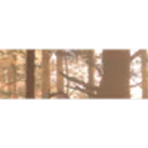 🤩 Эмодзи «Brown Collab» для Telegram