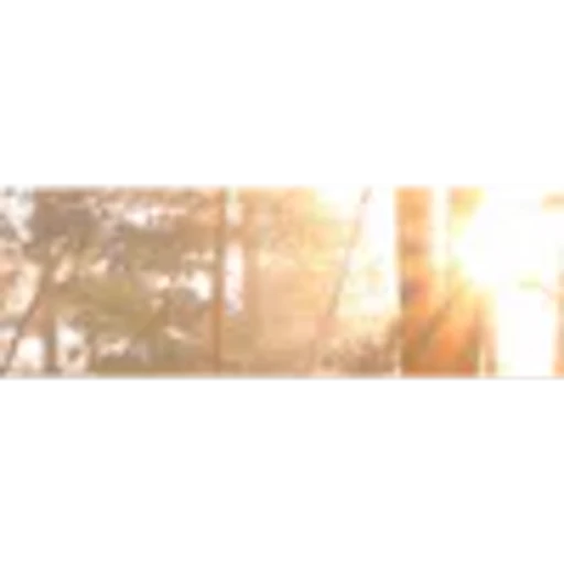 🤩 Эмодзи «Brown Collab» для Telegram