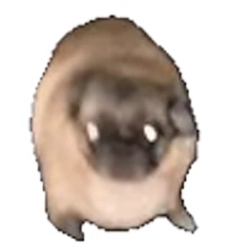 🐶 Эмодзи «brownrandom» для Telegram