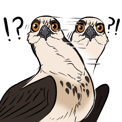 👁 Стикер «Ozawks» для Telegram