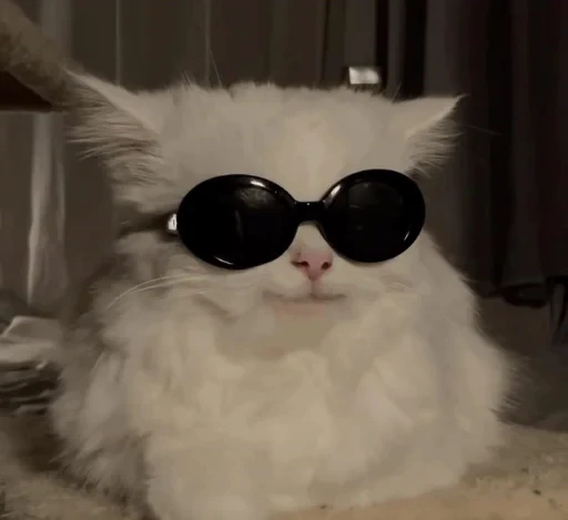 😼 Стикер «ROFLS 3000» для Telegram
