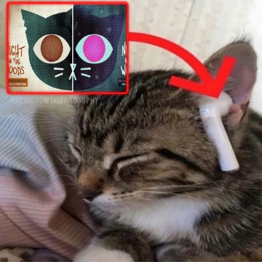 😺 Стикер «ROFLS 3000» для Telegram