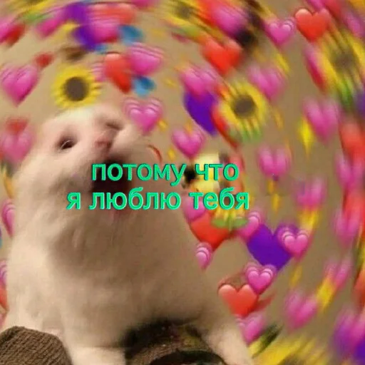 💗 Стикер «Брутальный стикерпак аристократ флоу» для Telegram
