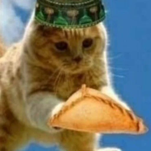 🌮 Стикер «Брутальный стикерпак аристократ флоу» для Telegram