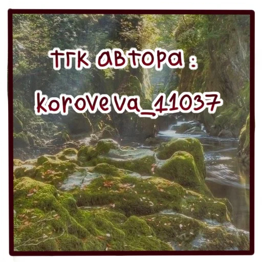 Стикер 31 BSD stickers