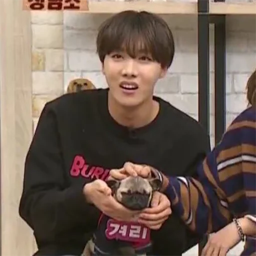 🐶 Стикер «BTS&;s Derp Face» для Telegram