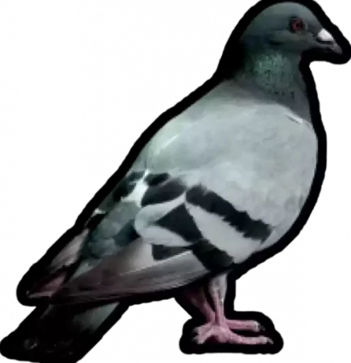 🦅 Стикер «Бабл Квас» для Telegram
