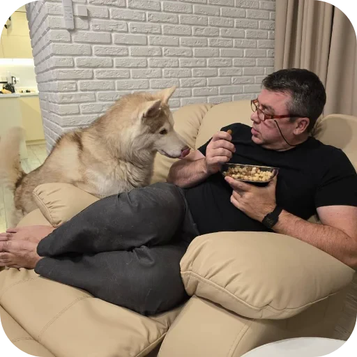 🐶 Стикер «Бублик Бандит Коржик Кекс» для Telegram