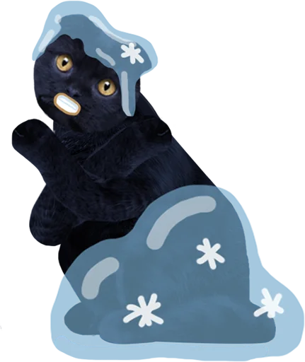 🥶 Стикер «Кот Бублик» для Telegram