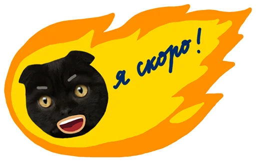 🔥 Стикер «Кот Бублик» для Telegram