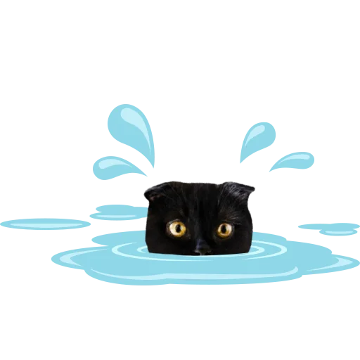 💦 Стикер «Кот Бублик» для Telegram