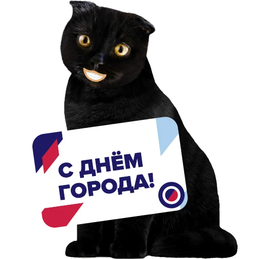 🎉 Стикер «Кот Бублик» для Telegram