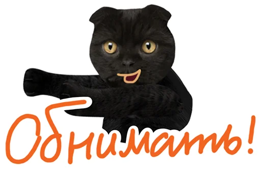 🥰 Стикер «Кот Бублик» для Telegram