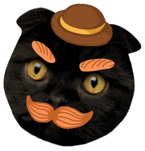 👨‍🦰 Стикер «Кот Бублик» для Telegram