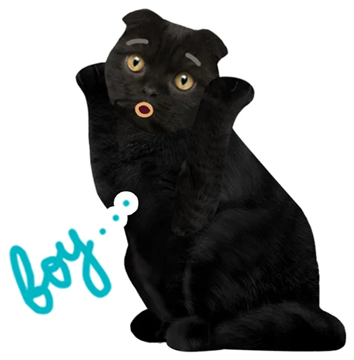 😨 Стикер «Кот Бублик» для Telegram