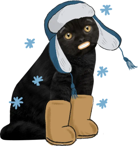 ❄️ Стикер «Кот Бублик» для Telegram