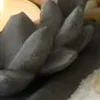 Стикер 55 Буддизм