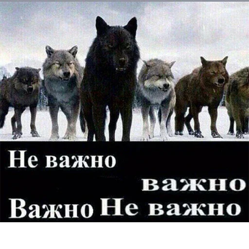 😥 Стикер «Be a wolf» для Telegram