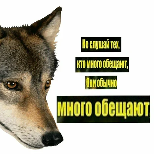 🤭 Стикер «Be a wolf» для Telegram