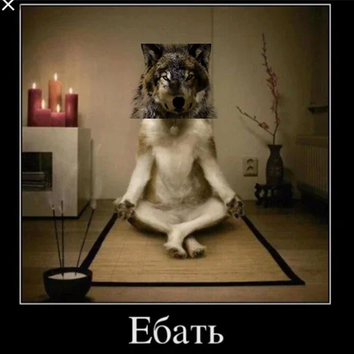 🤤 Стикер «Be a wolf» для Telegram